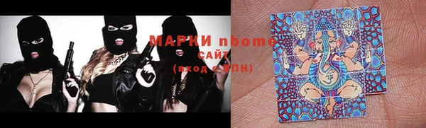 дмт Алзамай