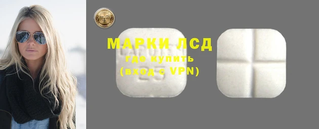 дмт Алзамай