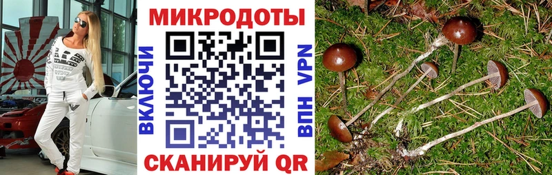 Галлюциногенные грибы Psilocybine cubensis  Яровое 